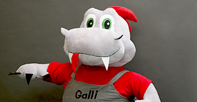 ma galli